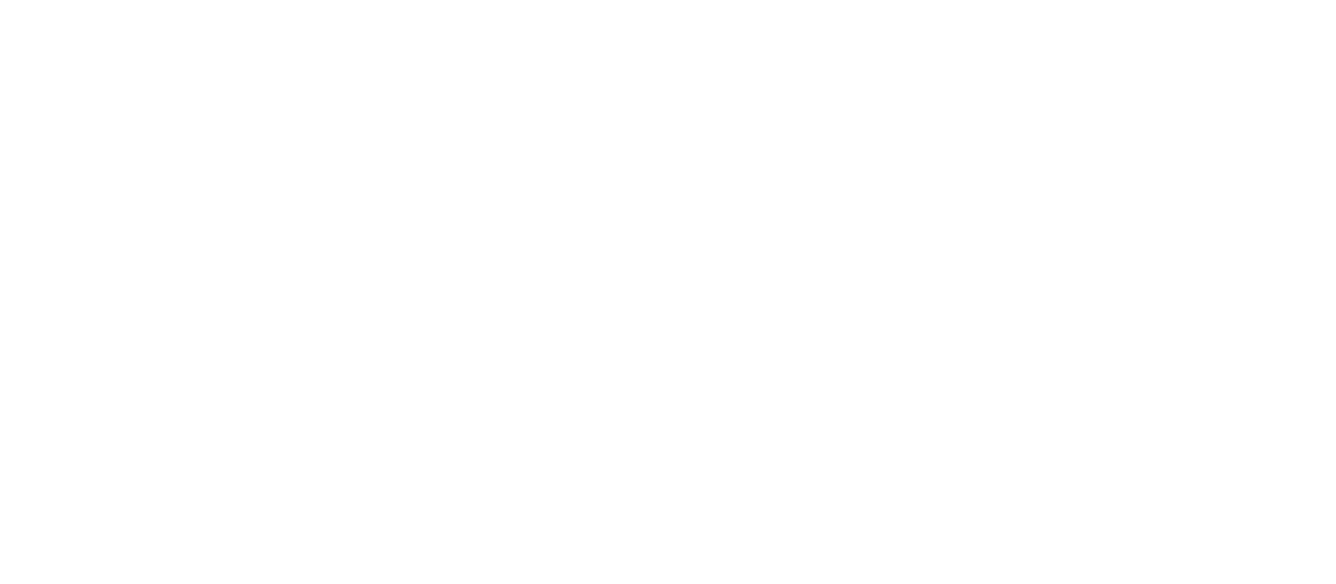 Google Meet icon