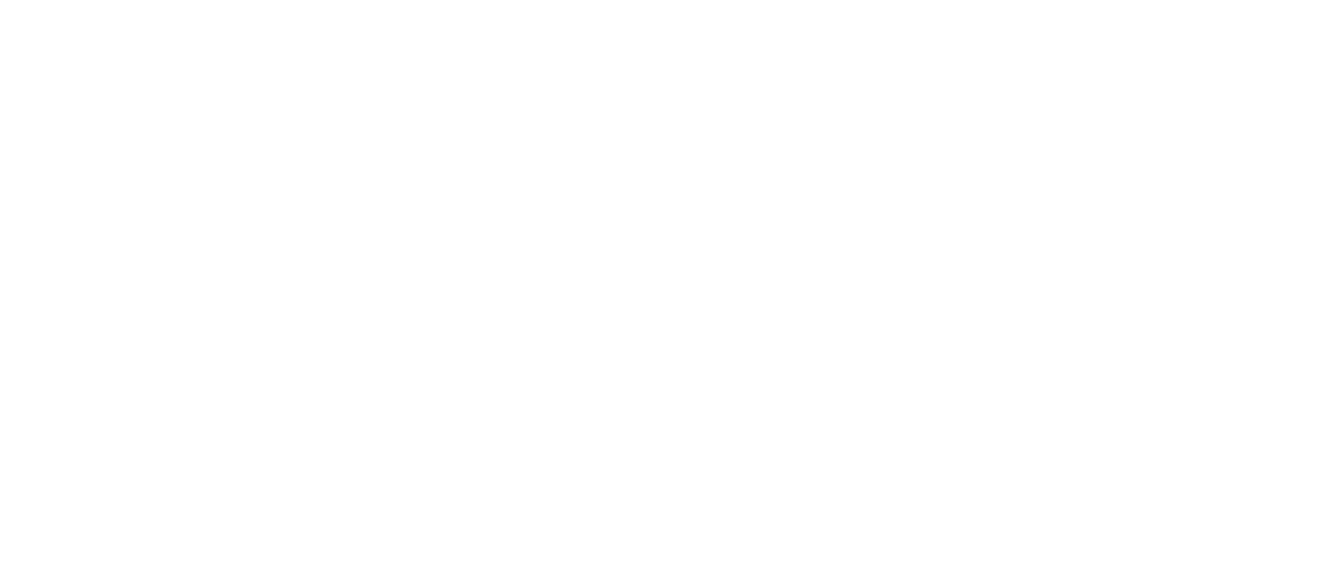 Iyzico icon