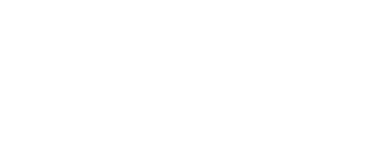 PayPal icon