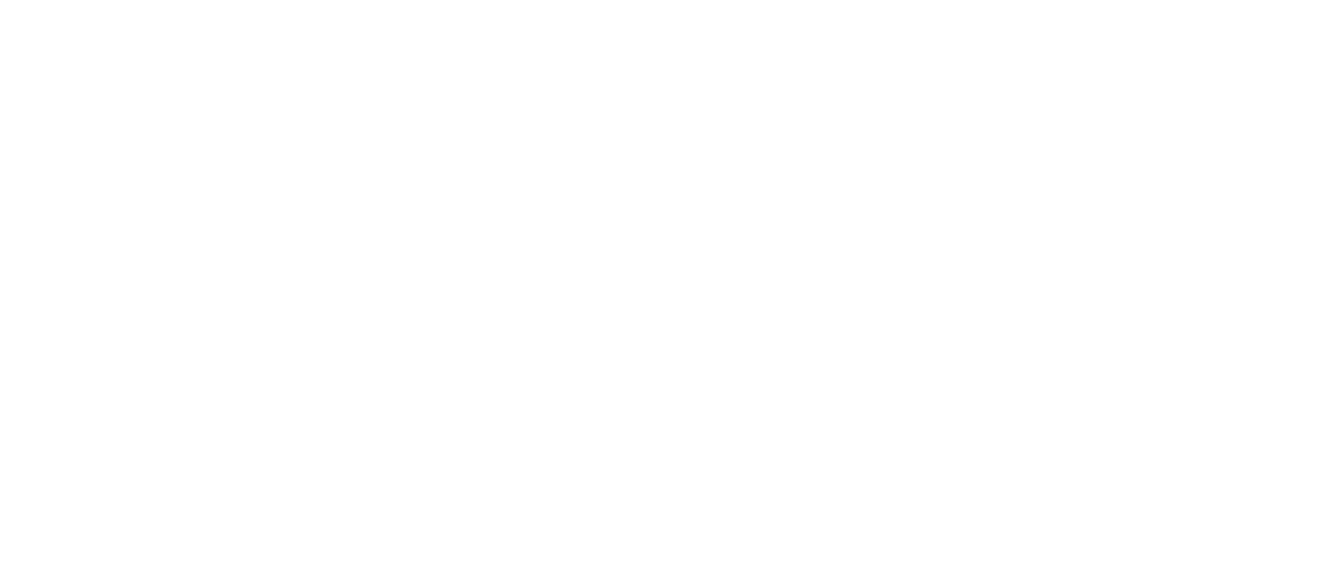 Zoom icon